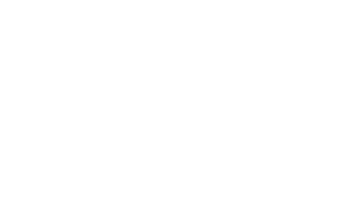 Manchester United logo