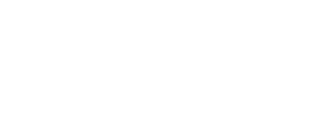 salutions logo